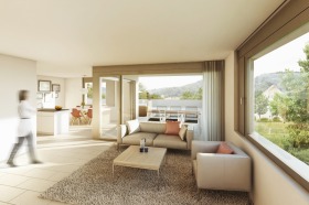 453_Schmittegass_Spreitenbach_IV