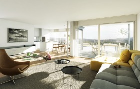 486_Sch&uuml;tzenmatt_Brugg_IV