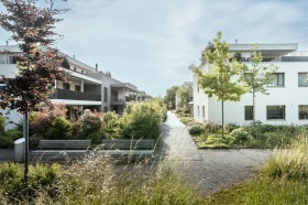 461_Am_Schmittenbach_Remigen_Bild 01