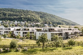 461_Am_Schmittenbach_Remigen_Bild 04