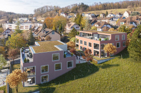 479_Grossmatt_Mellingen_AV_Z