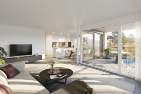 479_Grossmatt_Mellingen_IV