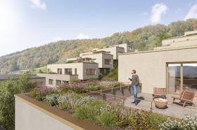 533_St.Bernhard_Wettingen_AV2