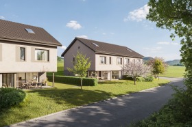 544_H&ouml;li_Effingen_AV