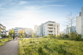 303_Geelig_Gebenstorf_F5