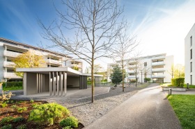 303_Geelig_Gebenstorf_F1