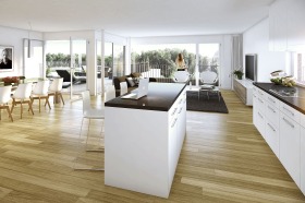 429_H&ouml;&ouml;ndler_Birmenstorf_IV_Z