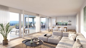 462_S&auml;ntisweg_Wohlen_IV1