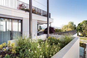 447_Segelhalde_D&auml;ttwil_F2