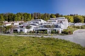 447_Segelhalde_D&auml;ttwil_F4