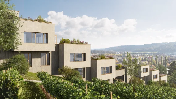 533 St.Bernhard Wettingen 