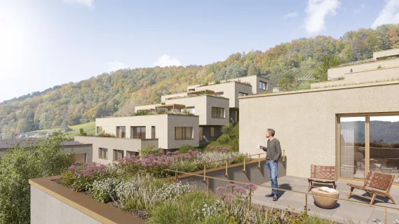 533 St.Bernhard Wettingen 