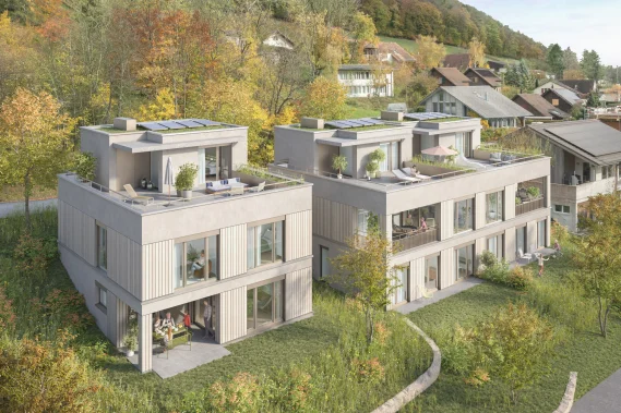 563 Unterdorf M&ouml;nthal AV